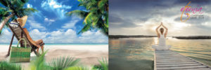 why goa