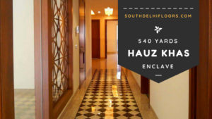 hauz khas