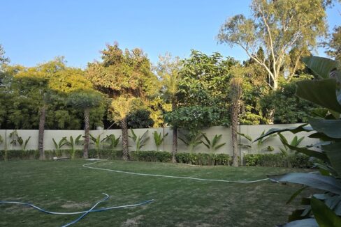 Expansive rooftop terrace with pergola and treetop views in a penthouse in Chanakyapuri, Malcha Marg, South Delhi