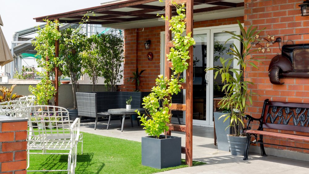 Brick-walled terrace under a pergola at C-209 Defence Colony, a Katarias (Kataria Buildcon) residence