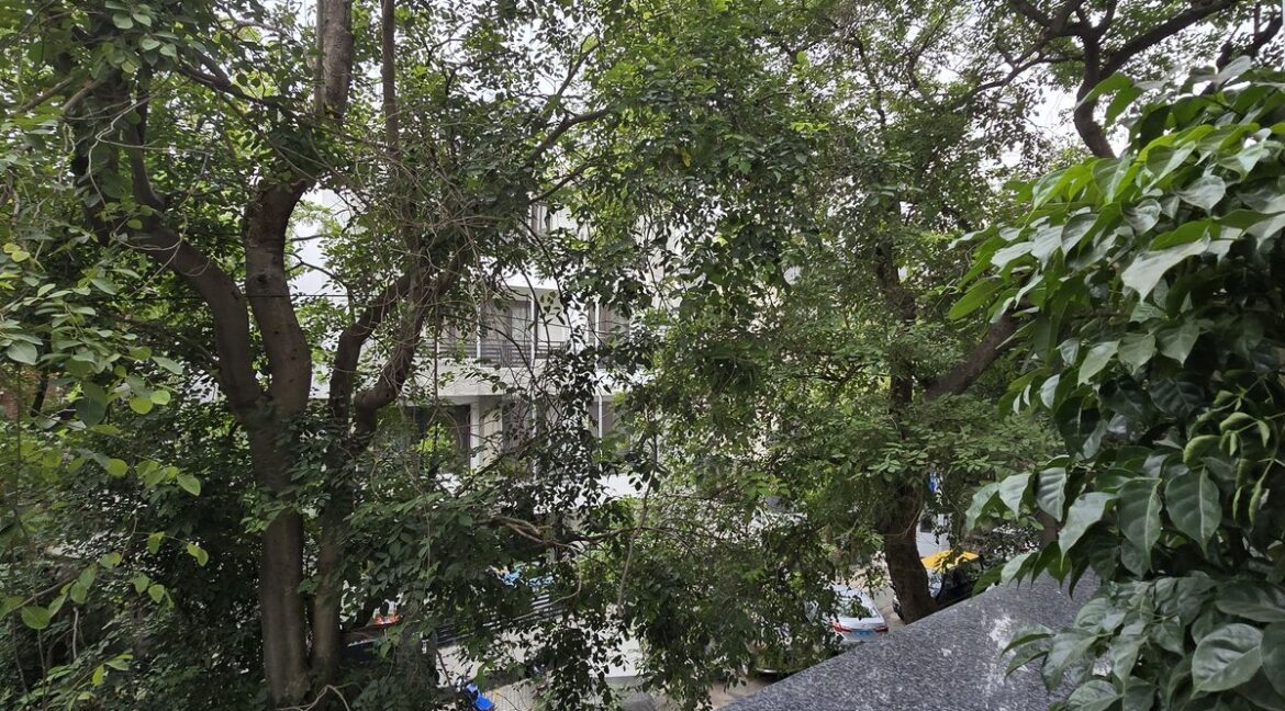 Windchimes Construction Balcony Tree View - Surbhi Nandrajog