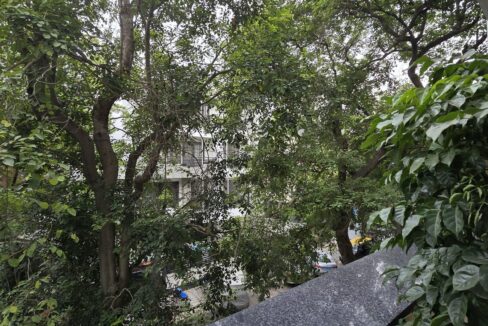Windchimes Construction Balcony Tree View - Surbhi Nandrajog