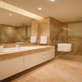 Green Park Extension Delhi Flats for Sale